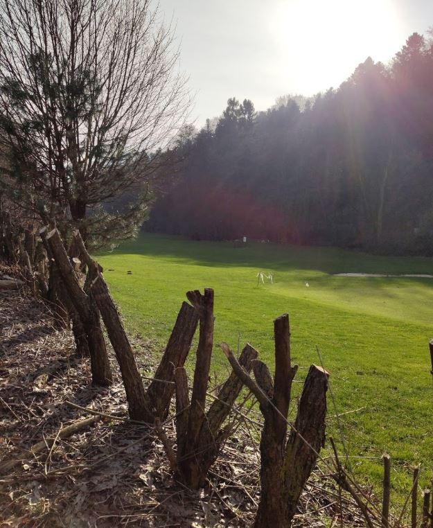 GC Alpinka Koice