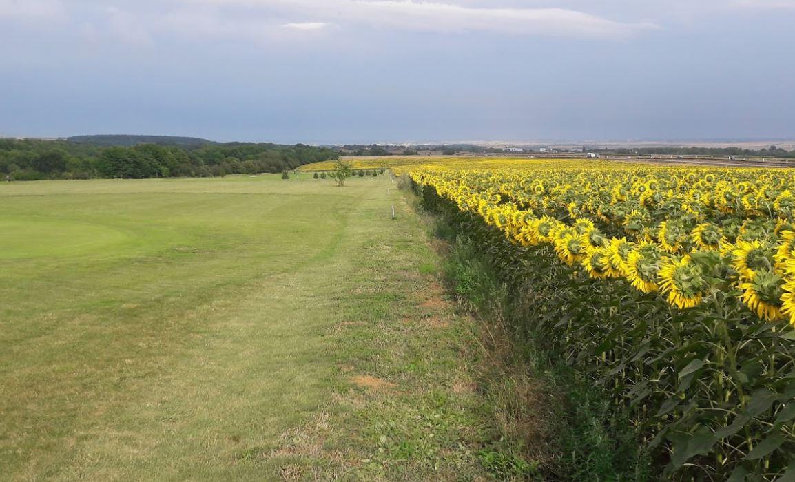 Golf club Bitozeves