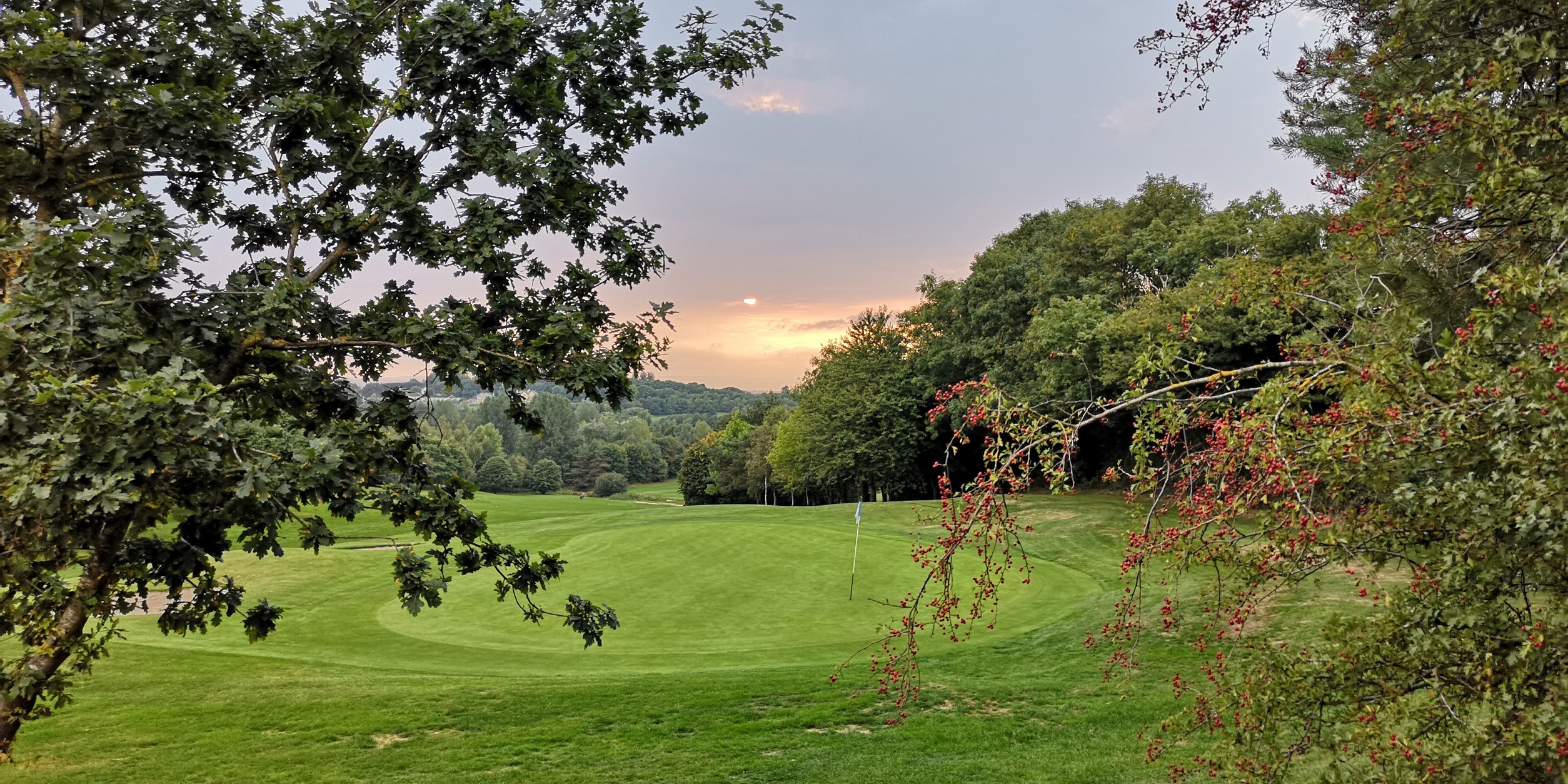 Mezinrodn golfov liga