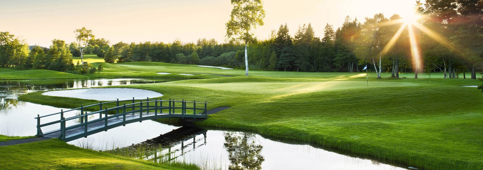 Mezinrodn golfov liga